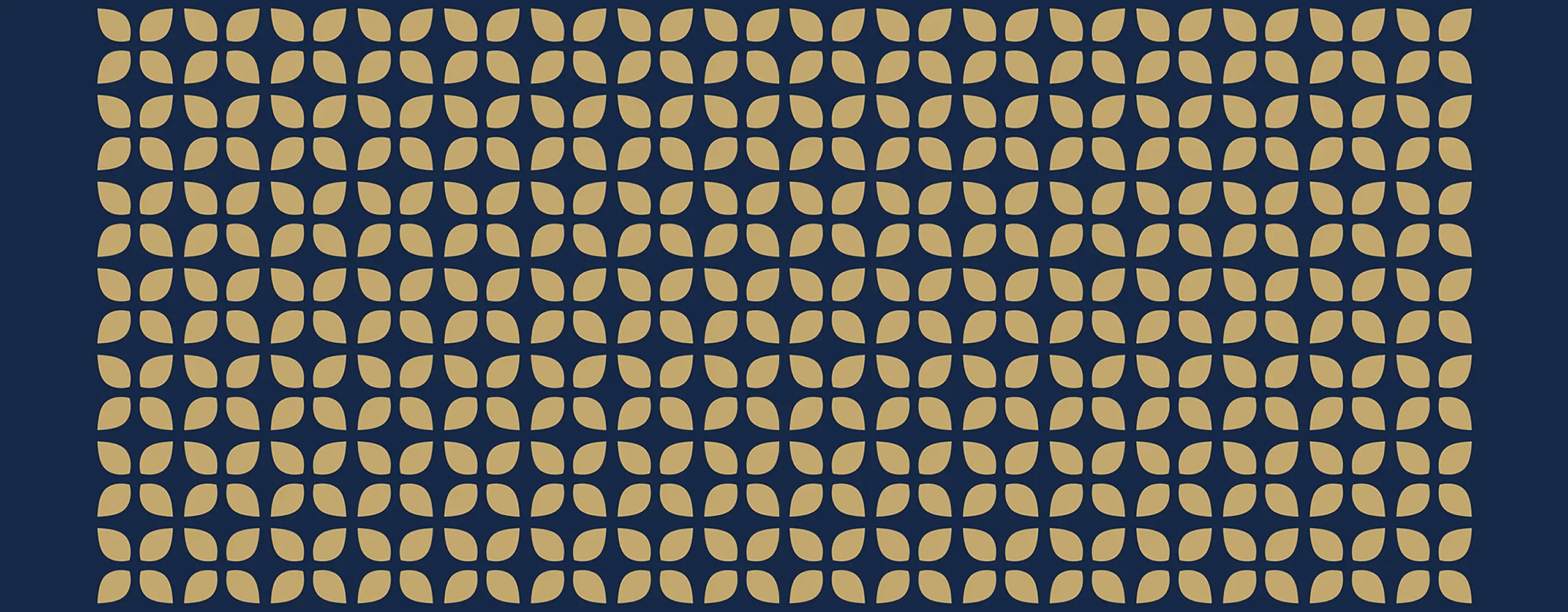 novus-pattern-dark-2560x1000